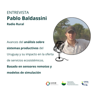 Entrevista P. Baldassini